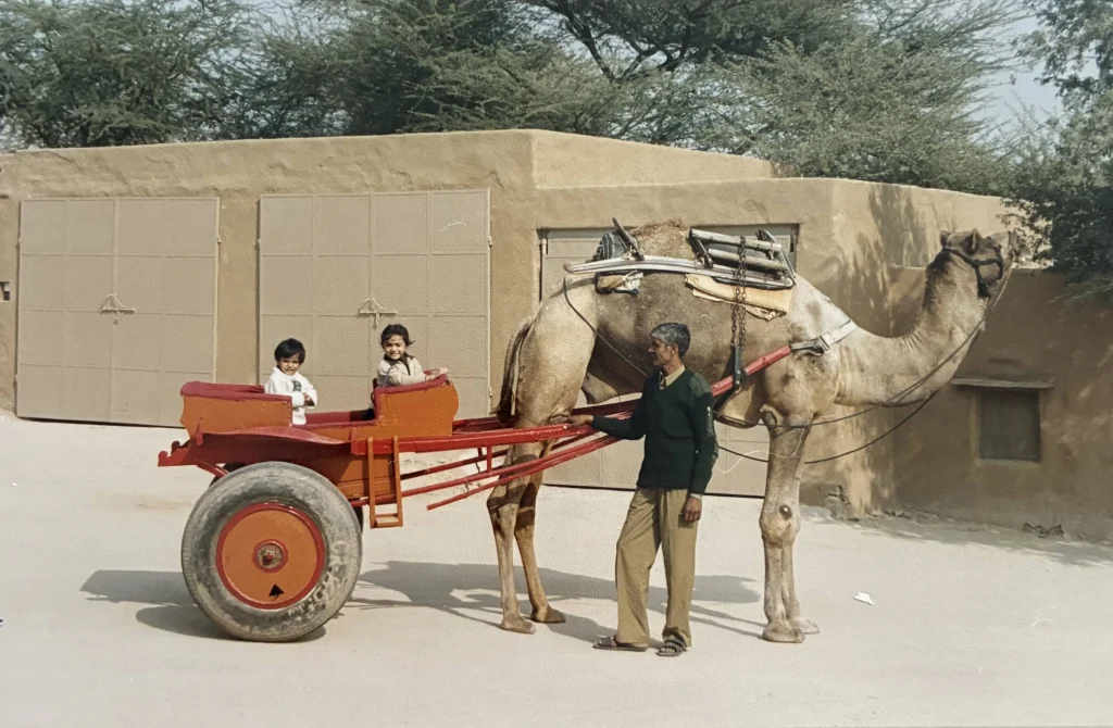 Image_The Desert Resort, Mandawa